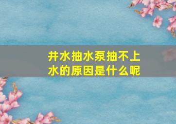 井水抽水泵抽不上水的原因是什么呢