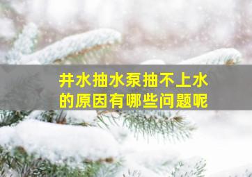 井水抽水泵抽不上水的原因有哪些问题呢