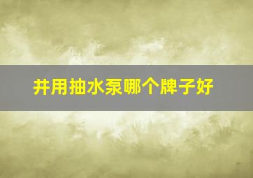 井用抽水泵哪个牌子好