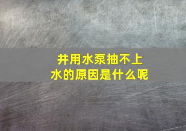 井用水泵抽不上水的原因是什么呢