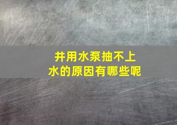 井用水泵抽不上水的原因有哪些呢