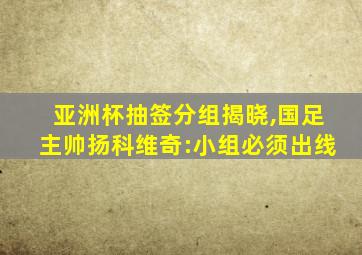 亚洲杯抽签分组揭晓,国足主帅扬科维奇:小组必须出线