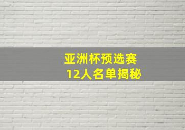 亚洲杯预选赛12人名单揭秘