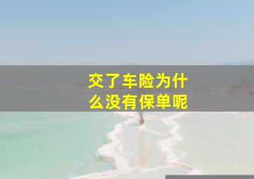 交了车险为什么没有保单呢