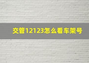 交管12123怎么看车架号