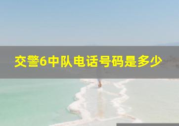 交警6中队电话号码是多少