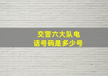 交警六大队电话号码是多少号