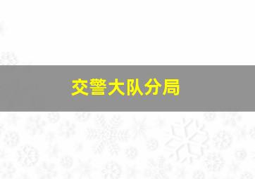 交警大队分局