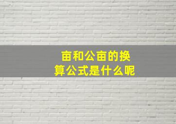 亩和公亩的换算公式是什么呢