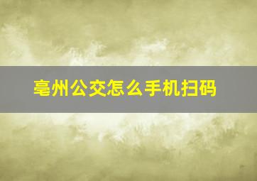 亳州公交怎么手机扫码