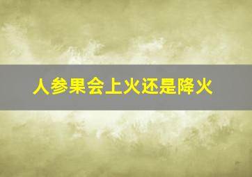 人参果会上火还是降火