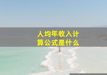 人均年收入计算公式是什么