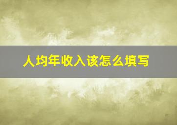 人均年收入该怎么填写