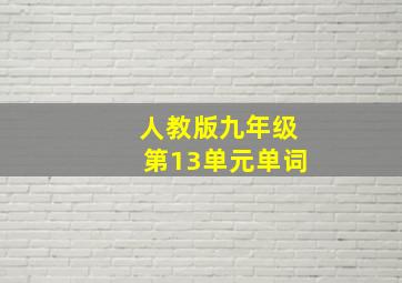 人教版九年级第13单元单词