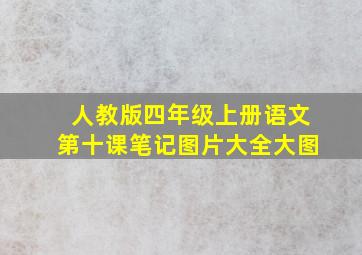 人教版四年级上册语文第十课笔记图片大全大图