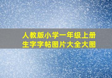 人教版小学一年级上册生字字帖图片大全大图