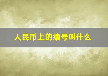 人民币上的编号叫什么