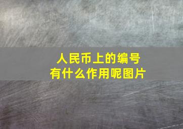 人民币上的编号有什么作用呢图片