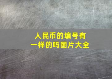 人民币的编号有一样的吗图片大全