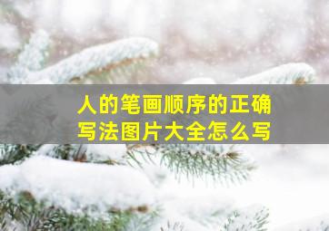 人的笔画顺序的正确写法图片大全怎么写