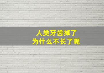 人类牙齿掉了为什么不长了呢