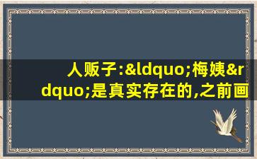 人贩子:“梅姨”是真实存在的,之前画像都不像