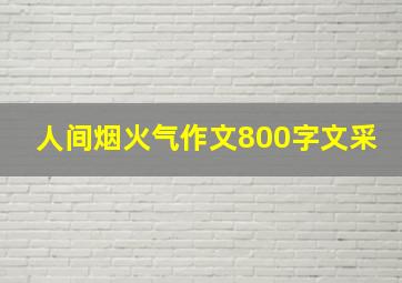 人间烟火气作文800字文采