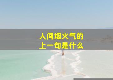 人间烟火气的上一句是什么