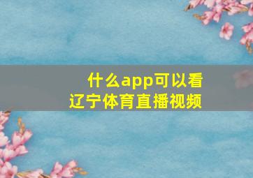 什么app可以看辽宁体育直播视频