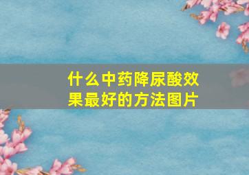 什么中药降尿酸效果最好的方法图片