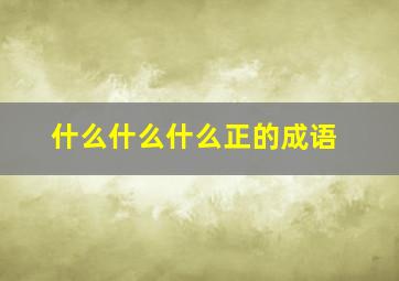 什么什么什么正的成语