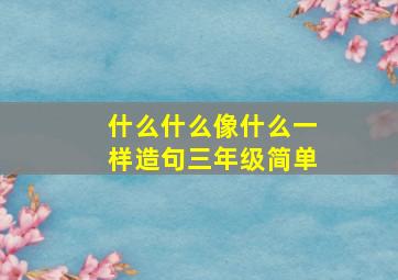 什么什么像什么一样造句三年级简单