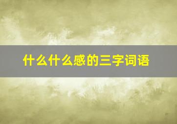 什么什么感的三字词语