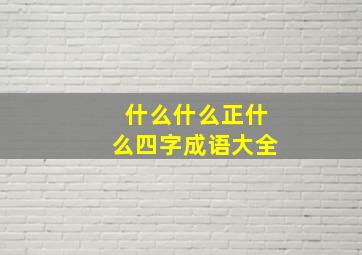 什么什么正什么四字成语大全