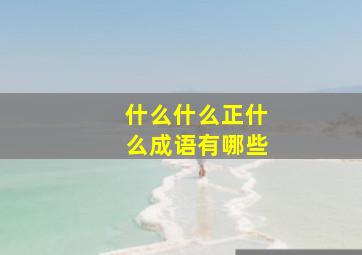 什么什么正什么成语有哪些