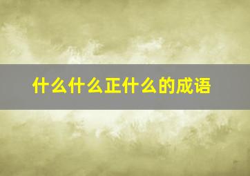 什么什么正什么的成语