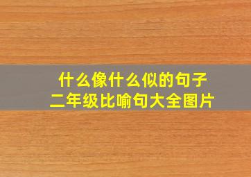 什么像什么似的句子二年级比喻句大全图片