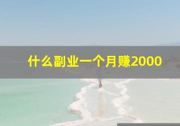 什么副业一个月赚2000