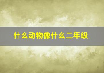 什么动物像什么二年级