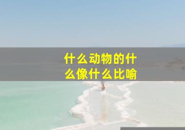 什么动物的什么像什么比喻