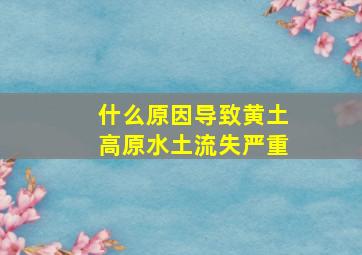 什么原因导致黄土高原水土流失严重