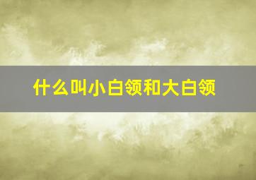 什么叫小白领和大白领