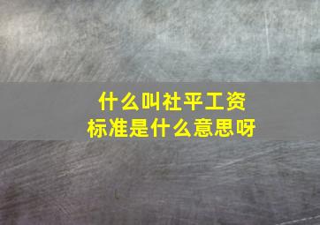 什么叫社平工资标准是什么意思呀