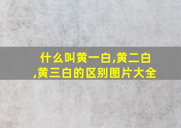 什么叫黄一白,黄二白,黄三白的区别图片大全