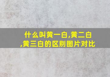 什么叫黄一白,黄二白,黄三白的区别图片对比