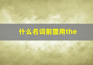 什么名词前面用the