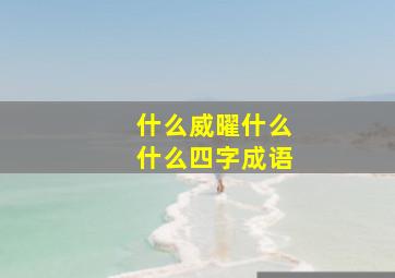 什么威曜什么什么四字成语