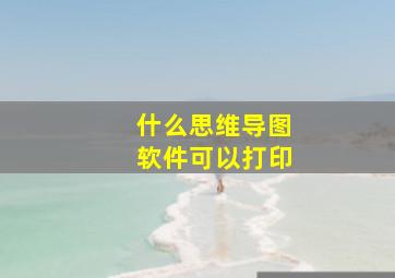 什么思维导图软件可以打印