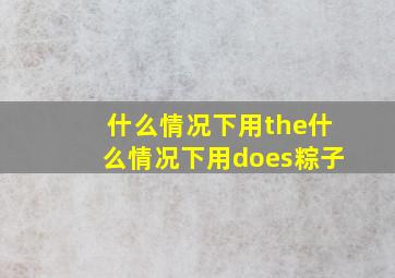 什么情况下用the什么情况下用does粽子