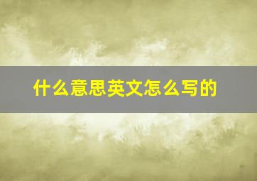 什么意思英文怎么写的